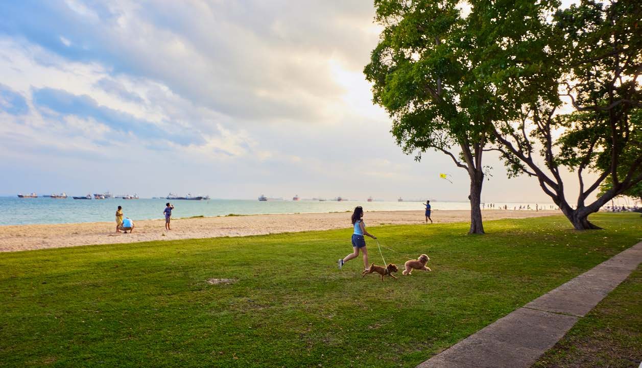 East Coast Park lawn